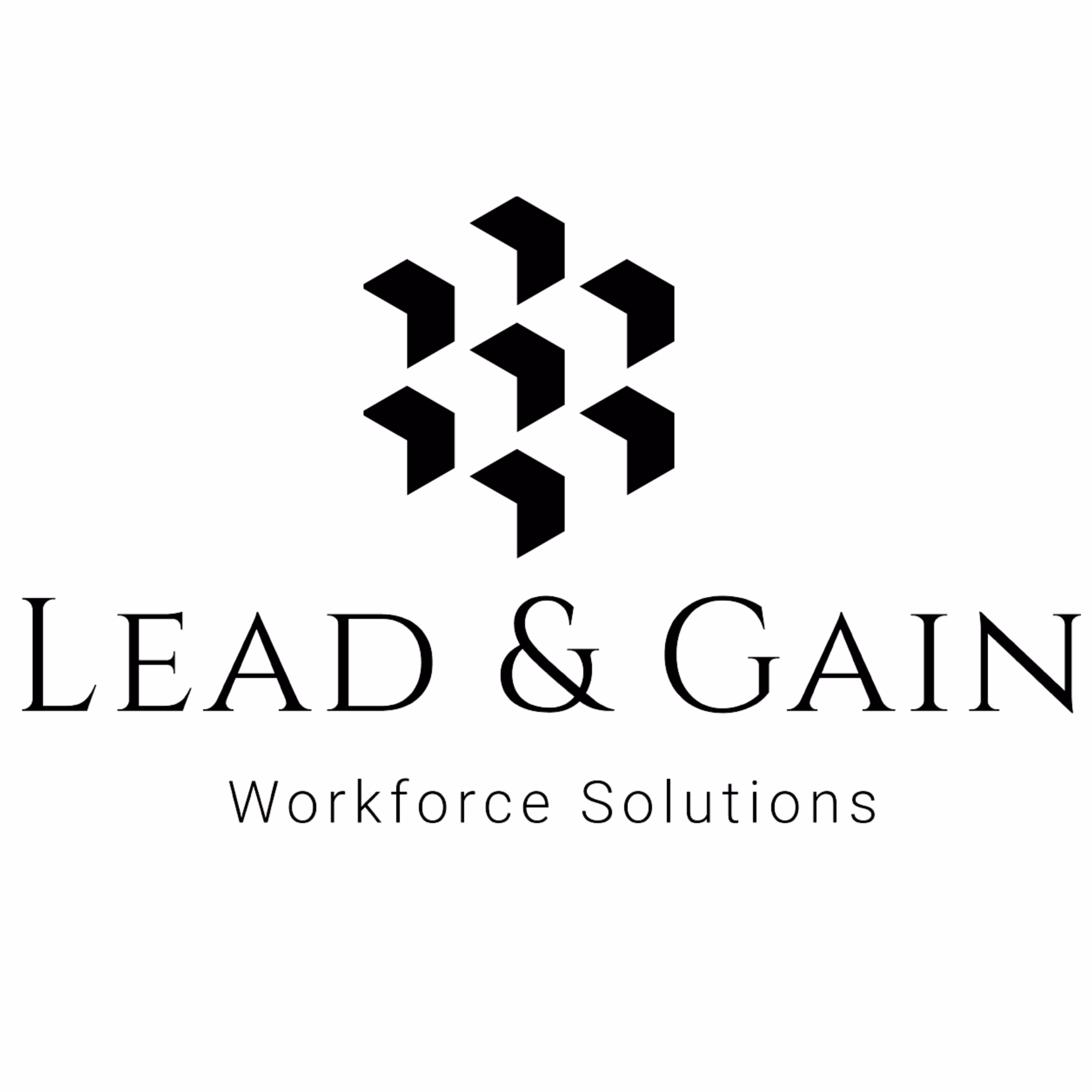 Lead and Gain Work Force Solutions Logo